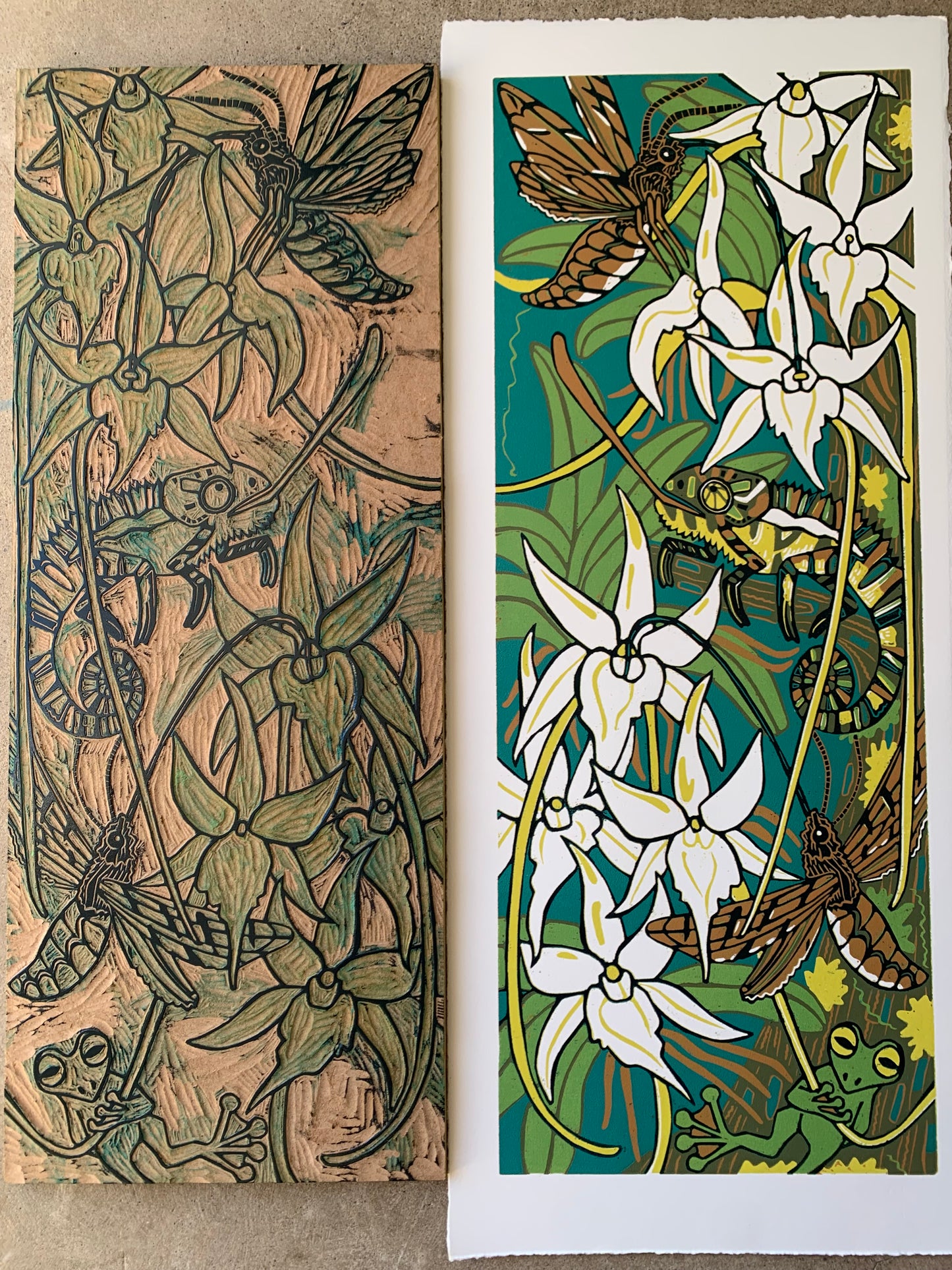 Madagascar orchid and hawkmoth original woodcut