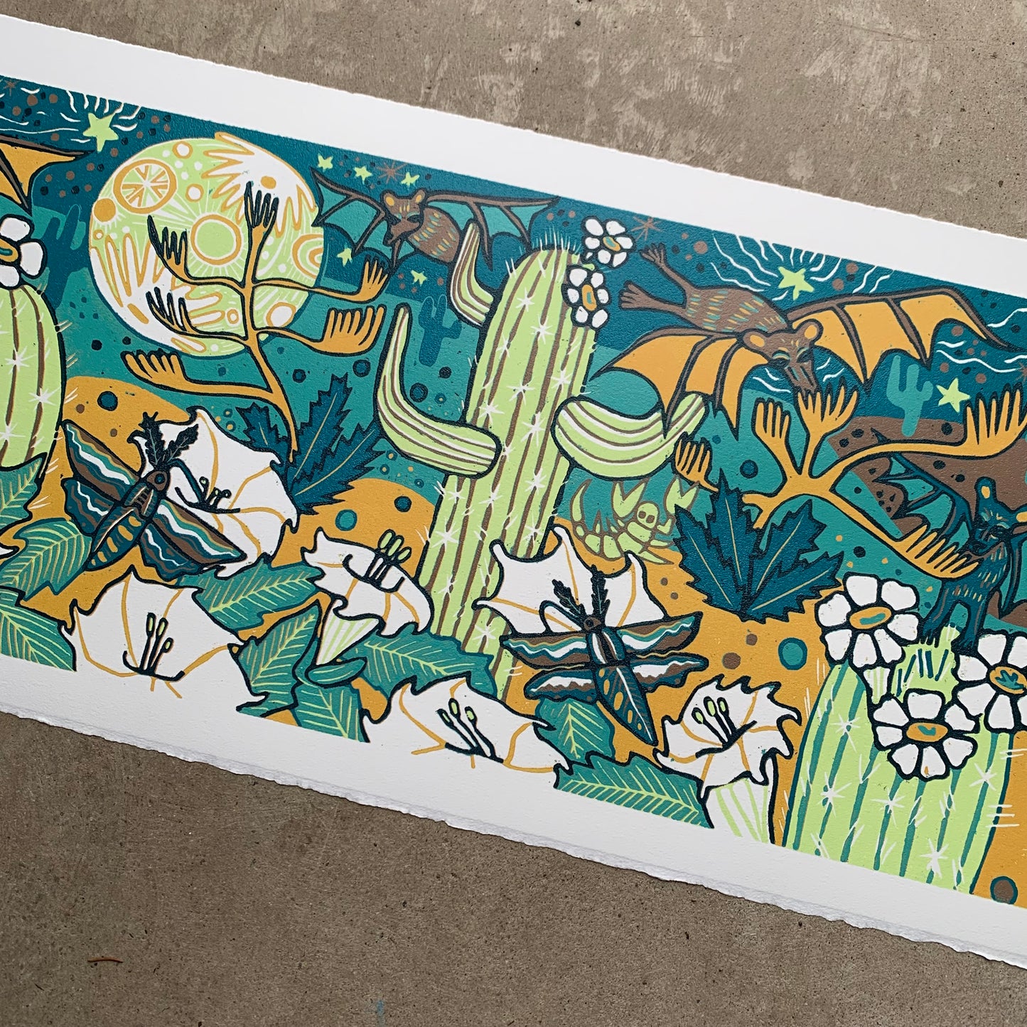 Cactus, bats and sphinx moth pollinator original woodcut