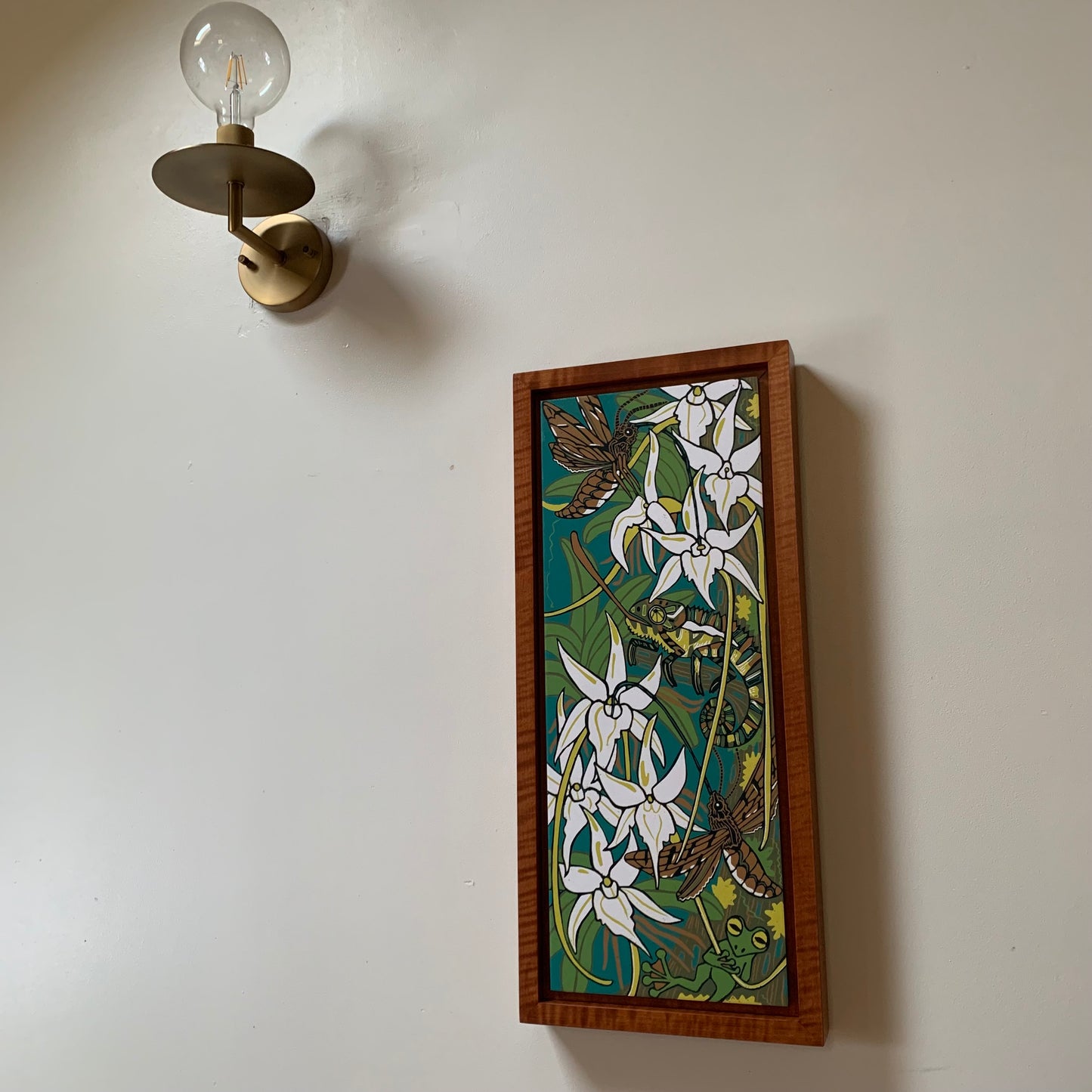 Darwins orchid woodcut framed in nutmeg natural curly maple