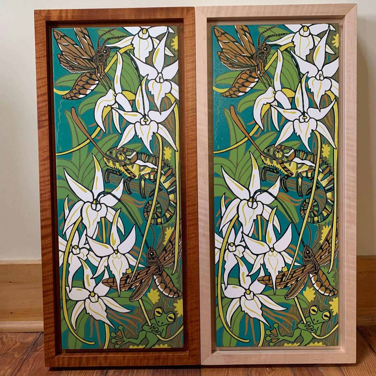 Darwins orchid woodcut framed in nutmeg natural curly maple