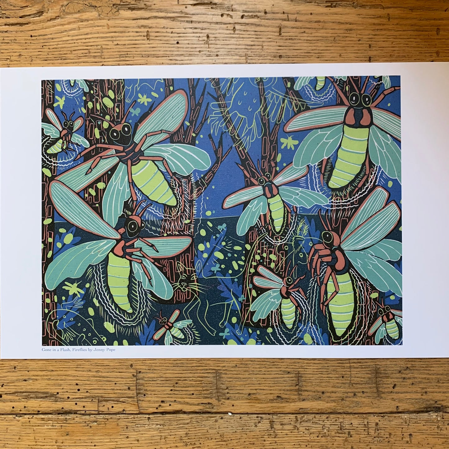 11x17” reproduction of Fireflies