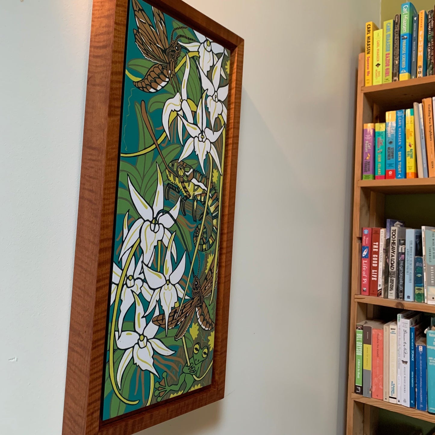 Darwins orchid woodcut framed in nutmeg natural curly maple