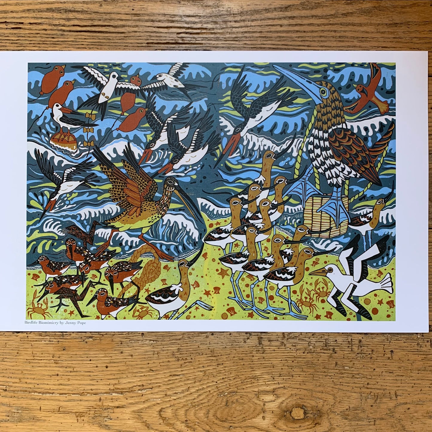 11x17” reproduction of Beach and birds and biomimicry