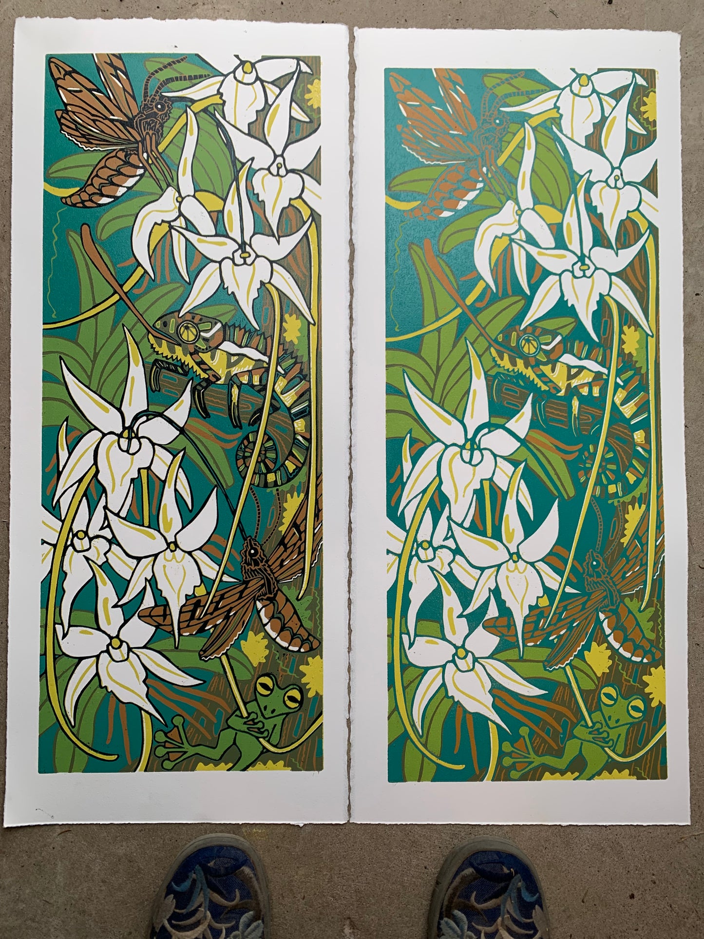 Madagascar orchid and hawkmoth original woodcut