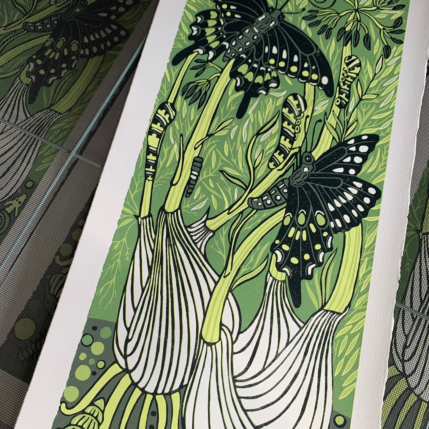 Fennel and Blackswallowtail original woodcut