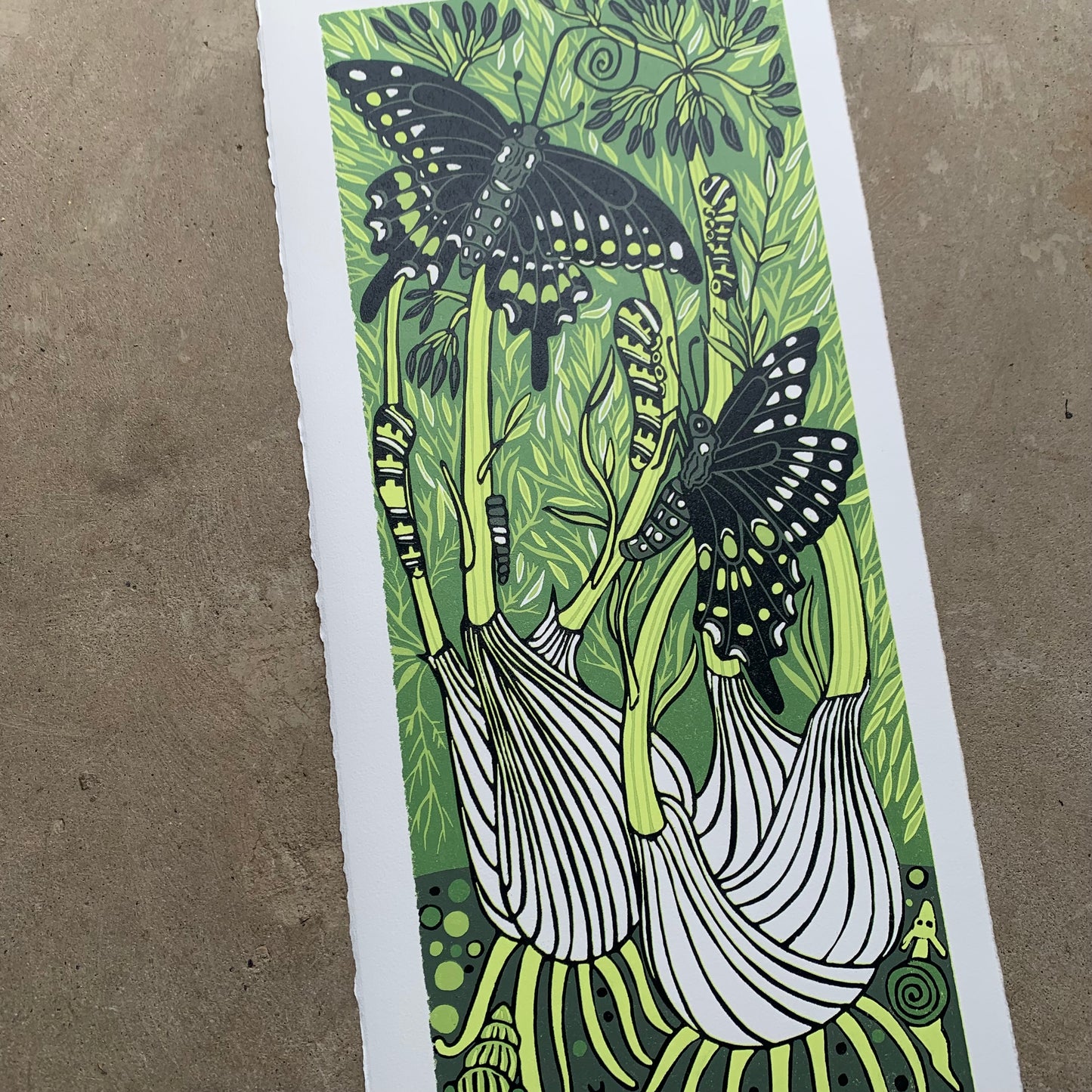 Fennel and Blackswallowtail original woodcut