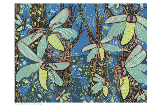 11x17” reproduction of Fireflies