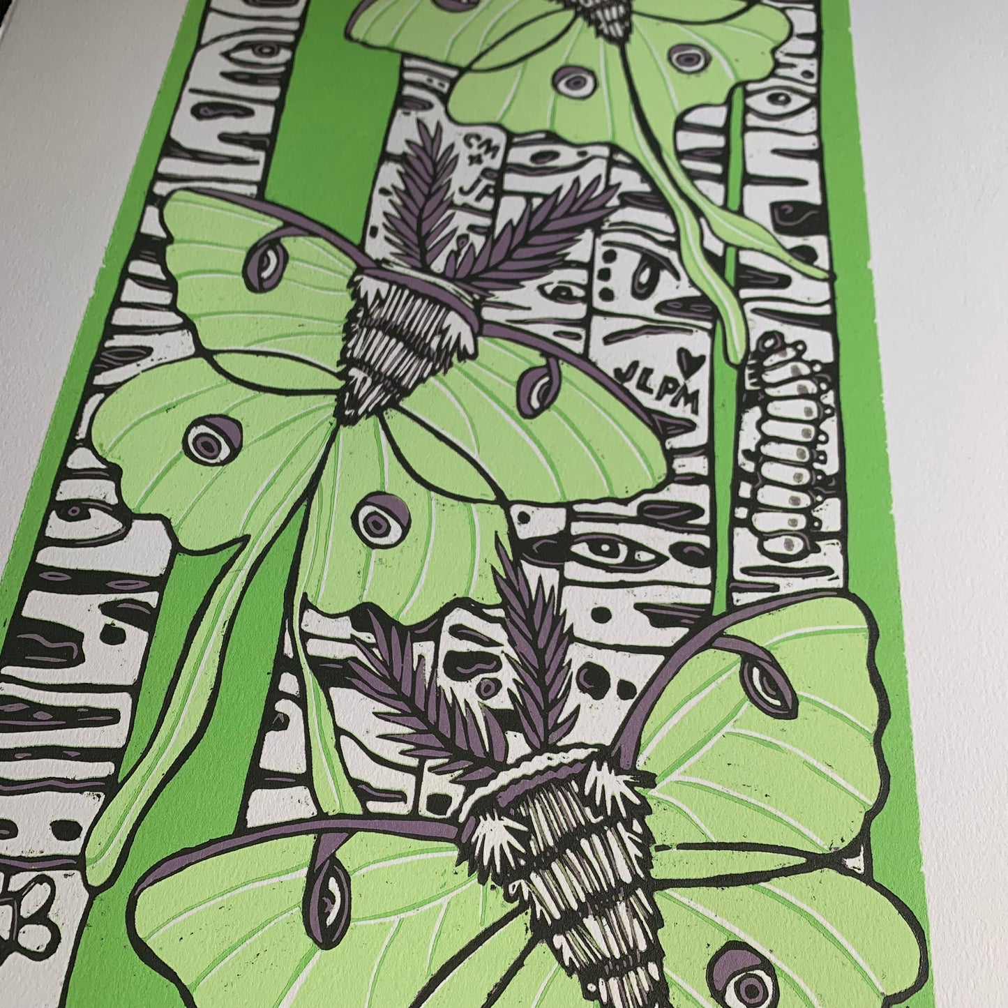 Luna moth and birch tree woodcut